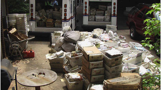 Mail Hoarding Is Real, and I Just Experienced It